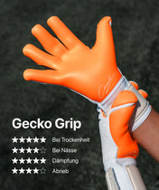 Beast 3.0 x Sergej.gk